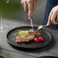2-Pack Ceramic Dinner Plates - Matte Textured Steak Plates with Golden Rim